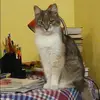 Отзыв от Венера Сычева